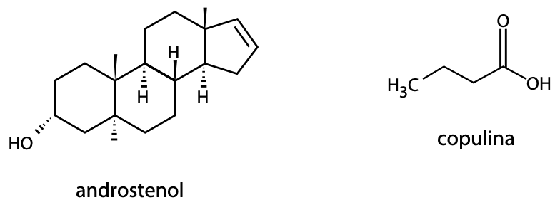 Figura da questão 24 de Química