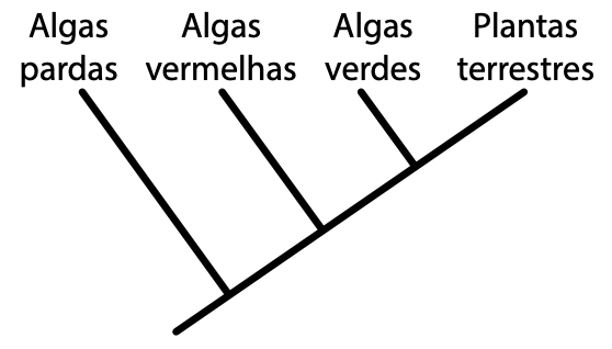 Figura da questão 47 de Biologia
