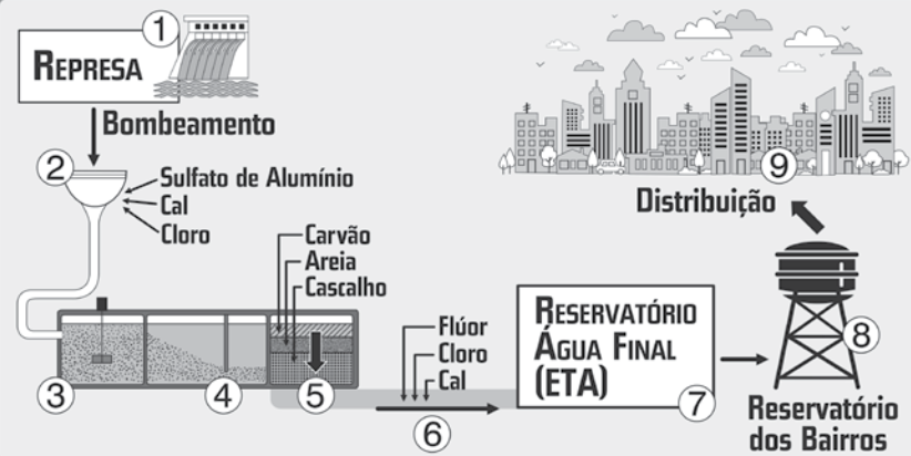 Figura da questão 2 de Biologia