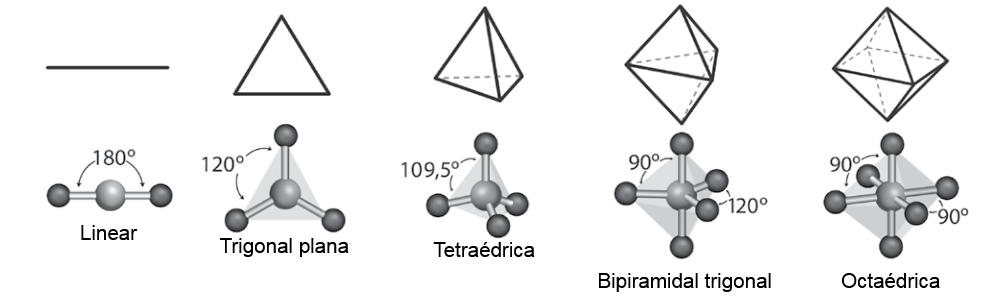 Figura da questão 20 de Multidisciplinar