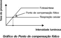 Figura da questão 2 de Biologia