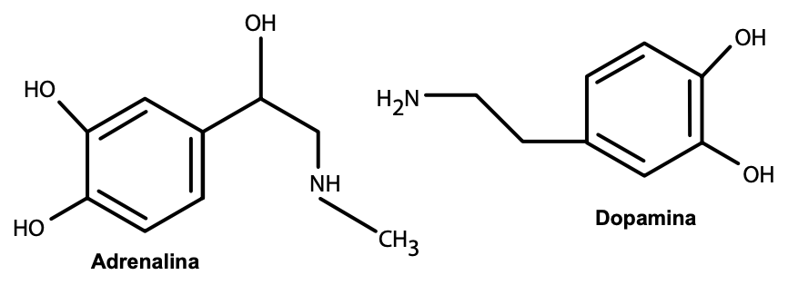 Figura da questão 23 de Química