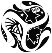 Figura da alternativa e da questão 46